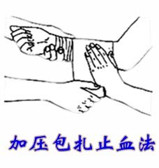 加壓包扎止血法注意事項(xiàng),加壓包扎止血法注意事項(xiàng)包括,包扎止血法的注意事項(xiàng)