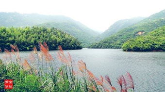 天池,注意事項(xiàng),九華,旅游