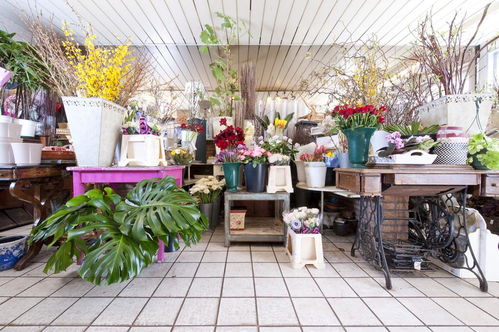 經(jīng)營花店選址有哪些注意事項