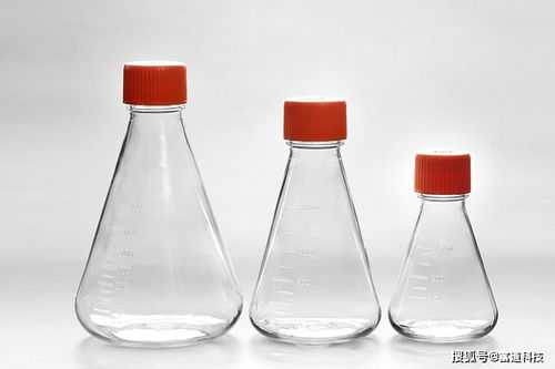 細(xì)胞培養(yǎng)的步驟以及注意事項(xiàng),細(xì)胞培養(yǎng)無(wú)菌操作的注意事項(xiàng),mdck細(xì)胞培養(yǎng)注意事項(xiàng)