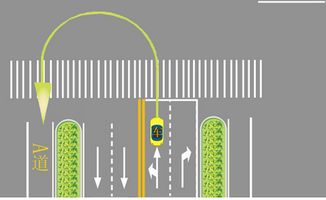 新手上路掉頭注意事項