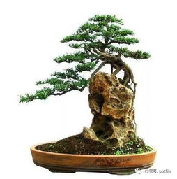 過程中,注意事項,制作,有哪些