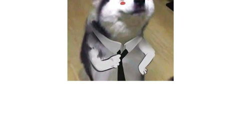 飼養(yǎng)外星人的注意事項(xiàng)