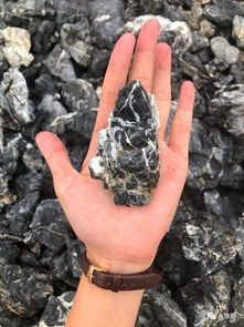 草缸種草注意事項(xiàng)