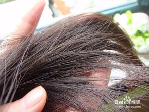 新手燙發(fā)注意事項,燙發(fā)流程及注意事項,第一次燙發(fā)注意事項