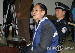 二審?fù)徶凶⒁馐马?xiàng)