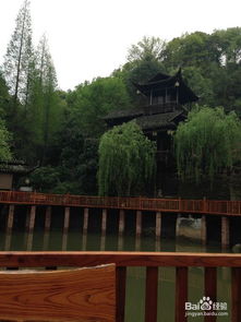 景點介紹,注意事項