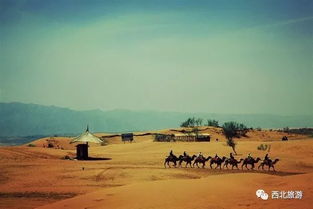 西北旅游注意事項,四肢攝影的注意事項,延時攝影注意事項
