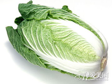 大白菜注意事項(xiàng)