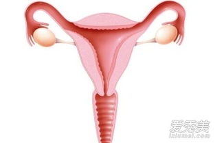 婦女帶環(huán)后注意事項