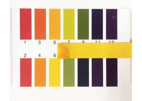 溶液,測定,注意事項(xiàng),ph