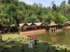 保亭旅游注意事項