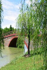 森林公園,注意事項(xiàng),規(guī)劃