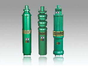 深井泵,注意事項,qs,下泵前