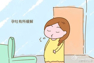 試管懷孕停藥后注意事項(xiàng),胎停過(guò)一次下次懷孕注意事項(xiàng),懷孕在家養(yǎng)胎注意事項(xiàng)