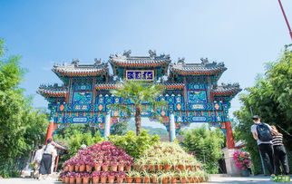 要注意,姻緣,事項,紅螺寺