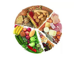 移植,注意事項,手術(shù),飲食