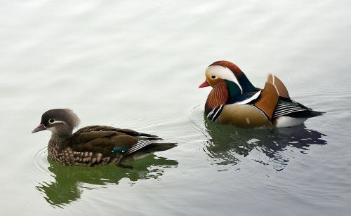 那年的愛(ài)，我們一起走過(guò)