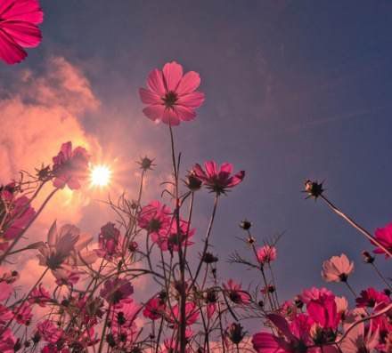 放手，給你愛的藍(lán)天