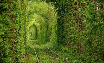 別言，人生若只如初見(jiàn)