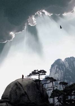 葉子的離開，并不是風的追求，更不是樹的不挽