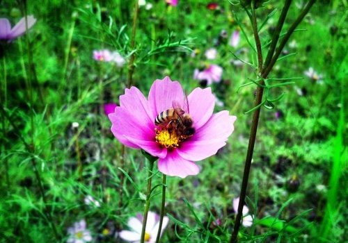 我是來(lái)打醬油的