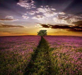 縱有疾風(fēng)起，人生不言棄