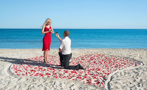 本宮敬你是條漢子，快來娶我吧