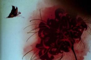 此岸情，彼岸花