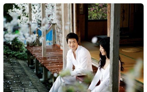 愛(ài)上我的白馬王子