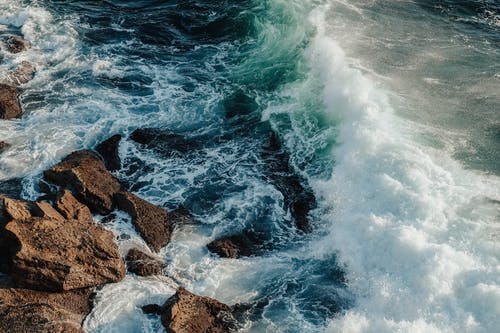 五年級(jí)狀物作文竹（三）