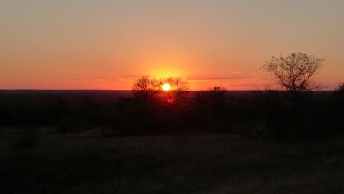 電影怦然心動經(jīng)典臺詞