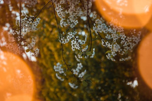 萬界奶茶店小說by溺島北月玲兒無錯(cuò)版閱讀 萬界奶茶店小說by溺島北月玲兒無錯(cuò)版閱讀