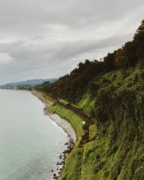 閱讀，我該拿你怎么辦？