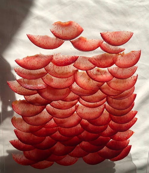 西游我的徒弟太逆天男主角任元小說(shuō)在線閱讀