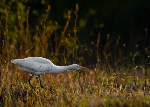 2021年暖心小滿祝福語(yǔ)摘錄58條 2021年暖心小滿祝福語(yǔ)摘錄58條