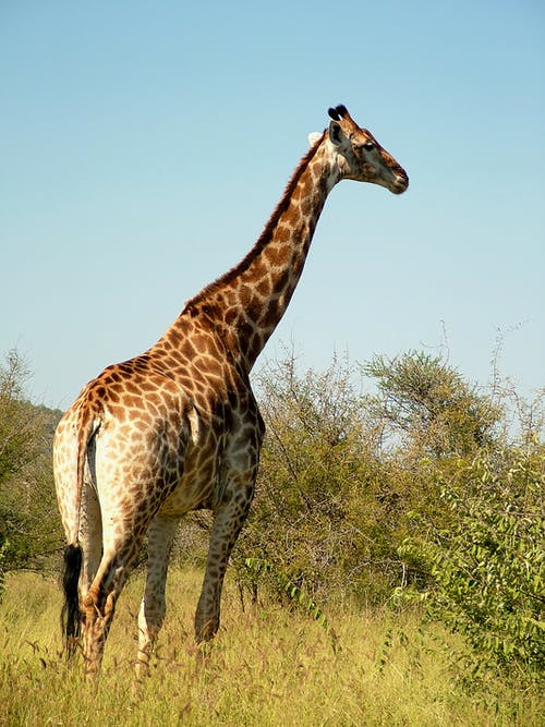 半夜傷感句子精選