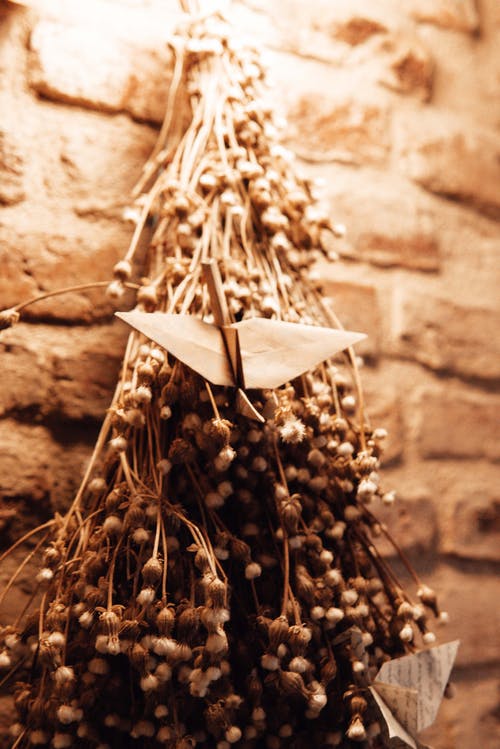 五年級(jí)話題作文讀書(shū)趣