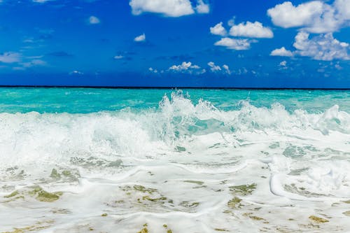 五年級想象作文烤豆