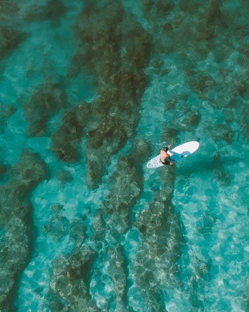 爽文超凡醫(yī)婿小說(shuō)秦銘林婉清在線閱讀 爽文超凡醫(yī)婿小說(shuō)秦銘林婉清在線閱讀