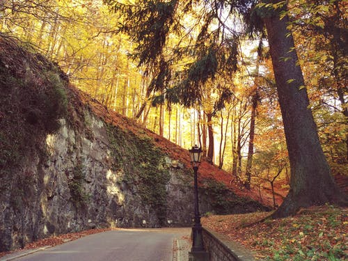 《冬夜讀書示子聿》譯文、注釋及鑒賞
