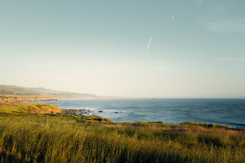 驚弓之鳥教學隨筆 驚弓之鳥教學隨筆