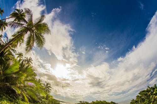 楚鋒末世重生小說(shuō)作者煙頭作品全章節(jié)閱讀