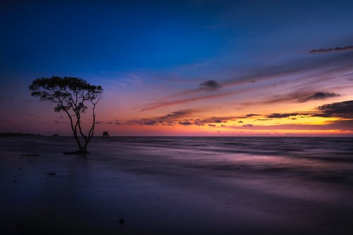 《天凈沙·夏》原文及翻譯賞析