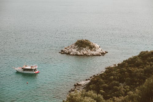 五年級童話寓言作文草的夢想