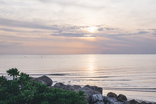 忠奸人經(jīng)典臺詞