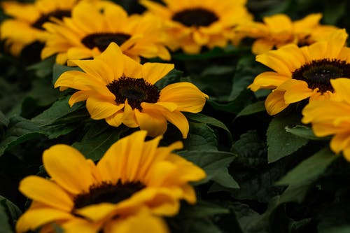 自考考場來了位勵志老奶奶