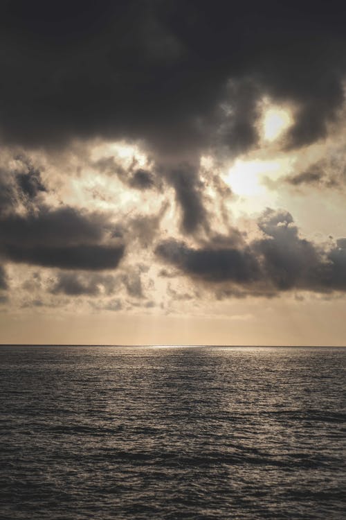 “我愛我的母?！痹姼枥收b比賽策劃書