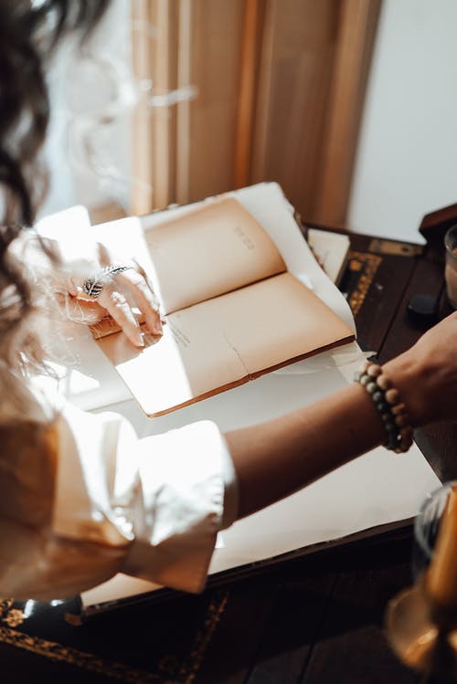 五年級想象作文薄荷的自述 五年級想象作文薄荷的自述