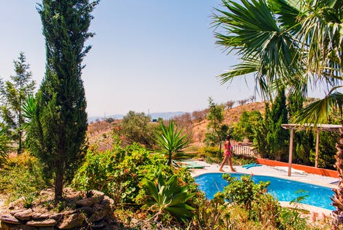 人教版六年級(jí)上冊(cè)四單元作文保護(hù)環(huán)境是我們的責(zé)任 人教版六年級(jí)上冊(cè)四單元作文保護(hù)環(huán)境是我們的責(zé)任